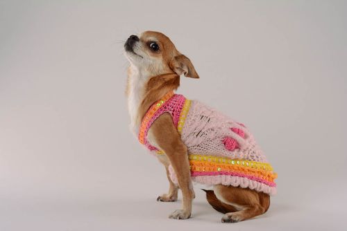 Vestido para cães Sobremesa da framboesa roupas para animais feitas à mão  - MADEheart.com
