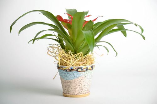 Maceta cerámica para flores - MADEheart.com