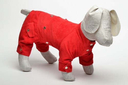 Kleidung für Hunde - MADEheart.com