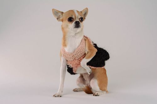 Suéter para cão feita à mão de tecido Encanto do vintage - MADEheart.com