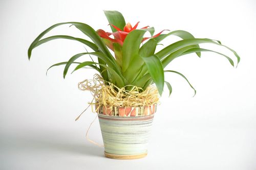 Vaso in ceramica per piante fatto a mano vaso di coccio per fiori con sottovaso  - MADEheart.com