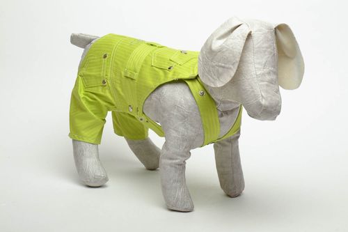 Pantalon pour chien vert fait main - MADEheart.com