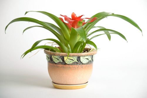 Flowerpot with stand - MADEheart.com