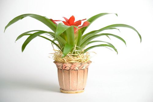 Maceta cerámica para plantas domésticas - MADEheart.com