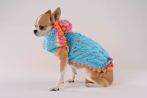Robe pour chien en laine et mohair Tulipes - MADEheart.com