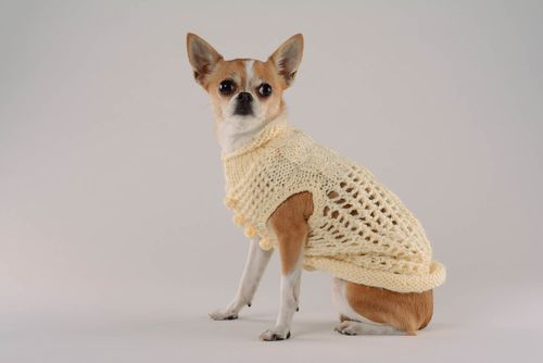 Camisola para cão feita à mão de tecido Sorvete de Limão - MADEheart.com