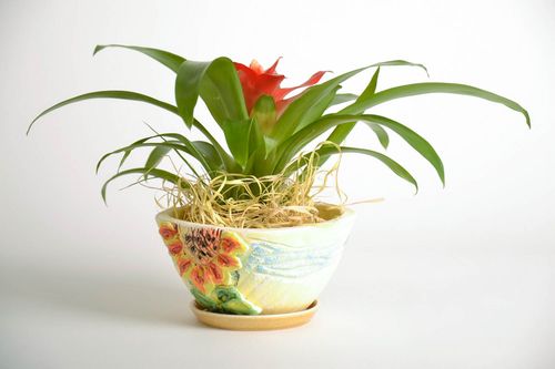 Keramischer Blumentopf für Pflanzen - MADEheart.com