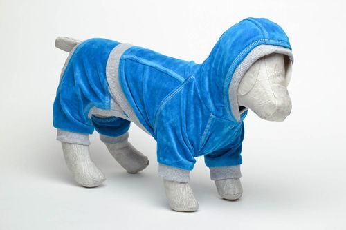 Anzug für Hund in Blau - MADEheart.com