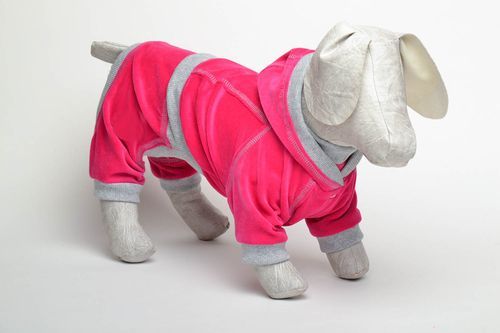 Homemade dog suit - MADEheart.com