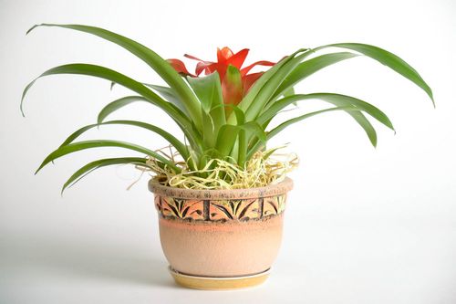 Ceramic flowerpot Virginia - MADEheart.com