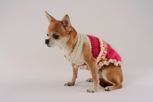 Vestido para cães Jardim misterioso roupas para animais feitas à mão  - MADEheart.com