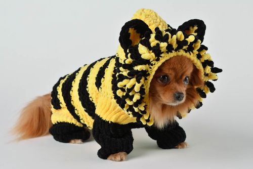Handmade knitted suit for dogs bright designer clothes for pets cute accessory - MADEheart.com