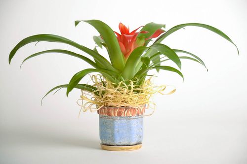 Pot à fleurs fait main céramique - MADEheart.com