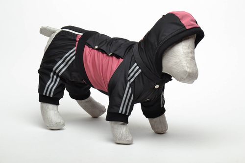 Costume pour chien style sportif fait main - MADEheart.com