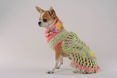 Robe tricot pour chien Paradis de framboises - MADEheart.com