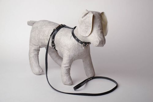 Harnais pour chien en vrai cuir avec laisse - MADEheart.com