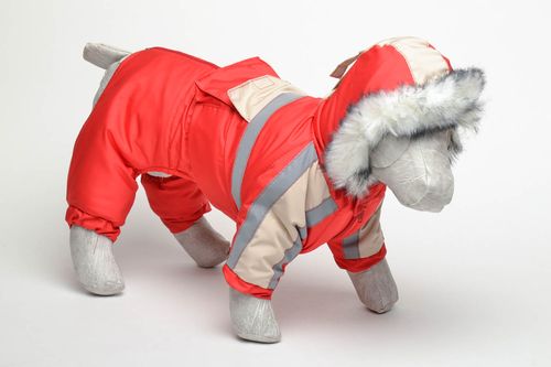 Combinaison et veste pour chien faites main Alaska - MADEheart.com