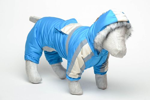 Vêtement chaud pour chien: pantalon et manteau  - MADEheart.com
