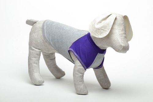 T-shirt pour chien gris violet  - MADEheart.com