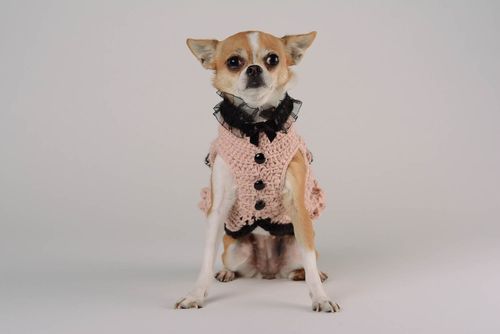 Robe pour chien en laine et mohair originale - MADEheart.com