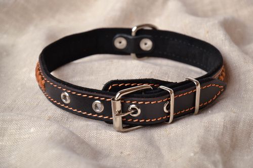 Thin dog collar of black color - MADEheart.com