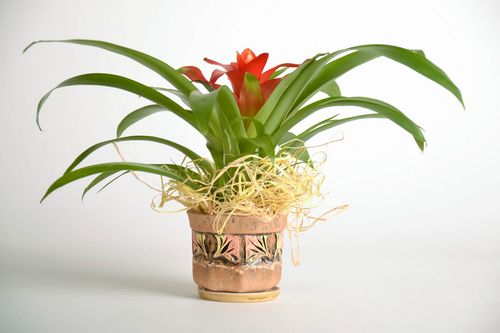 Pot de fleurs en céramique fait main Octaèdre - MADEheart.com