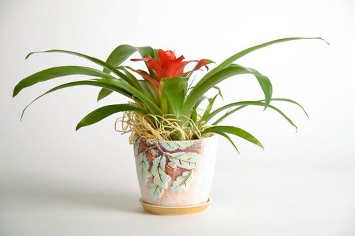 Vaso fiori fatto a mano vaso per fiori in ceramica attrezzi per giardinaggio - MADEheart.com