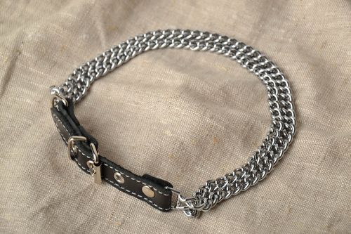 Metall Halsband für Hund in Schwarz - MADEheart.com