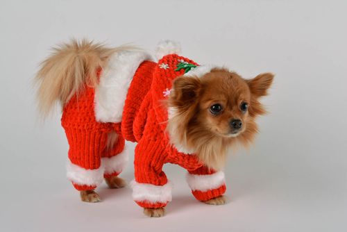 Kostüm für Hund handgefertigt Kleidung für Hund Designer Accessoire rot  - MADEheart.com