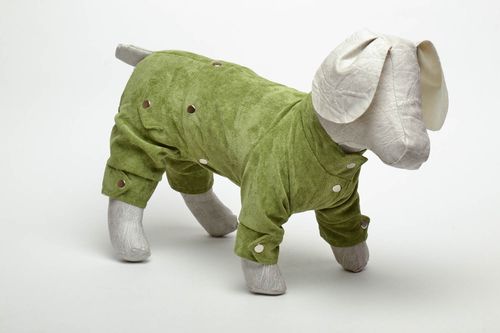 Ensemble de vêtements pour chien artisanal en velours - MADEheart.com