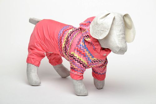 Combinaison pour chien polyester avec capuchon - MADEheart.com