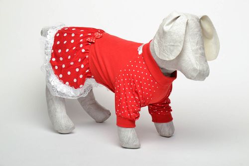 Robe pour chien en coton et dentelle rouge - MADEheart.com