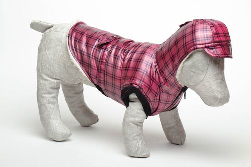 Manteau avec capuche pour petit chien - MADEheart.com