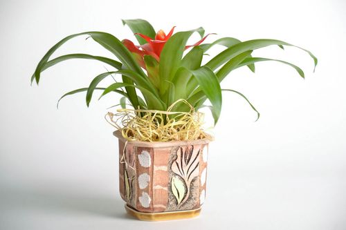 Flower pot made of faience clay - MADEheart.com