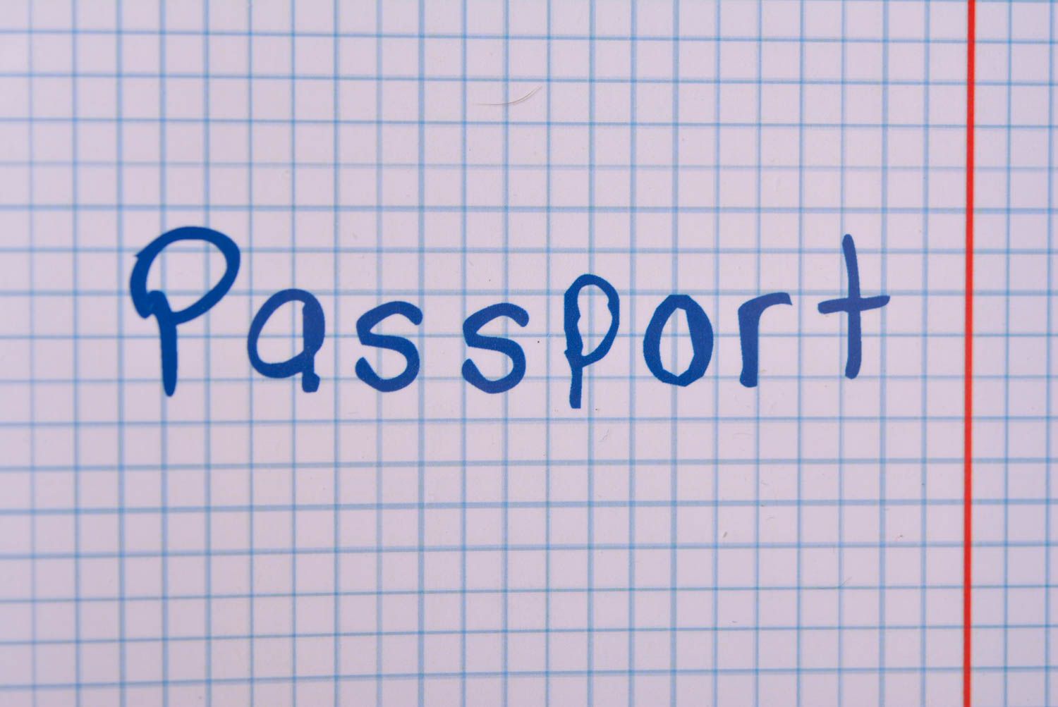 Étui passeport fait main Protège-passeport Cadeau original Feuille blanche photo 3