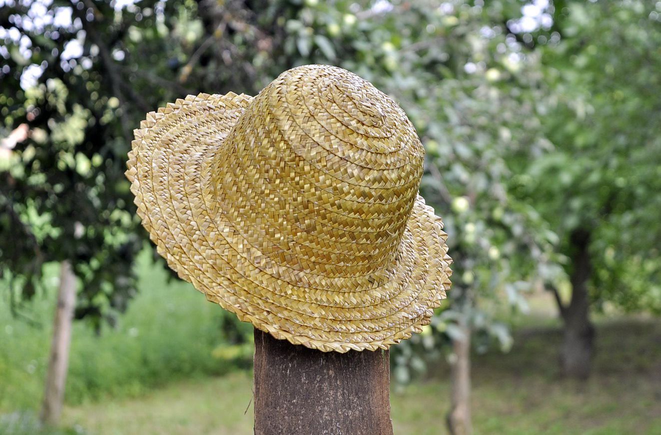Klassischer ukrainischer Hut  foto 5