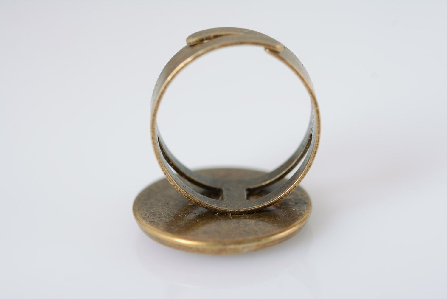Handgemachter Vintage Ring mit Pflanze im Epoxidharz und Metall foto 5