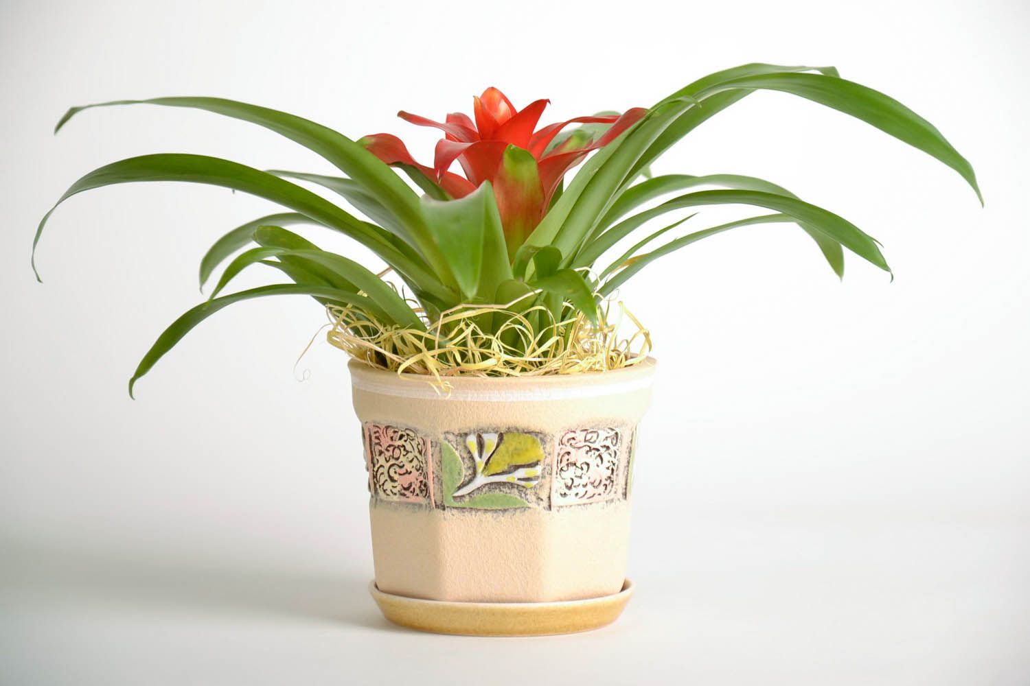 Ceramic flowerpot Octangle photo 2