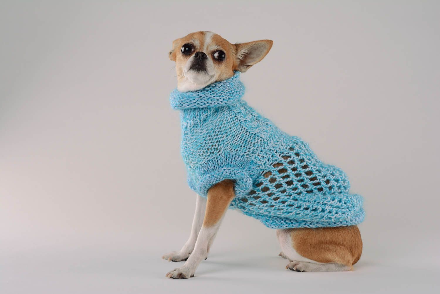 Robe pour chien faite main tricotée photo 1