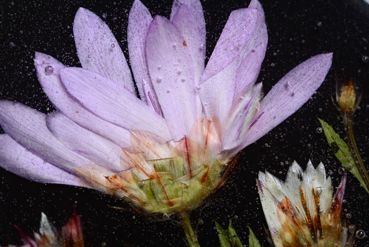 Broche de resina epoxi hecho a mano con flor natural dentro redondo oscuro foto 2