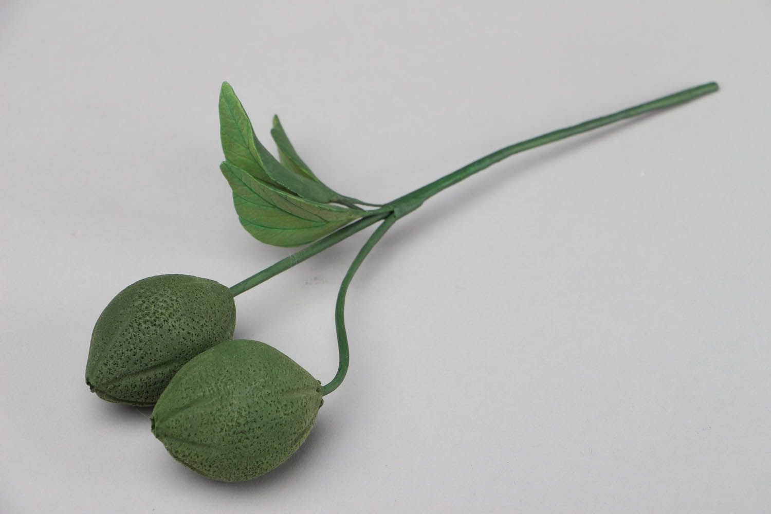 Branche décorative de lime en pâte polymère photo 1