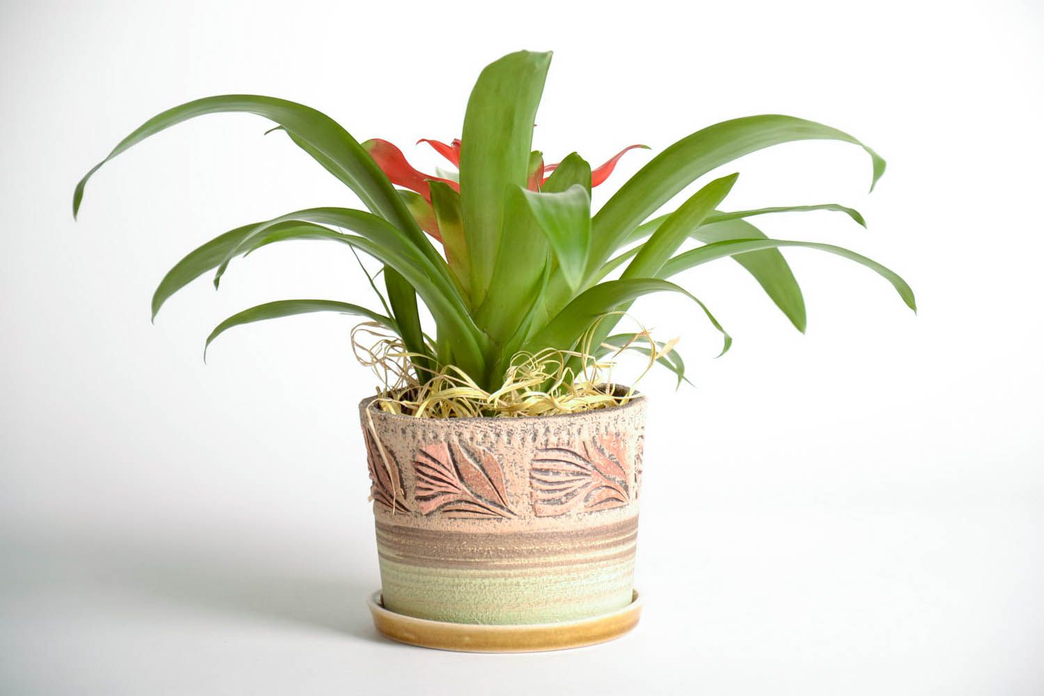 Vaso de cerâmica para plantas de interior foto 2
