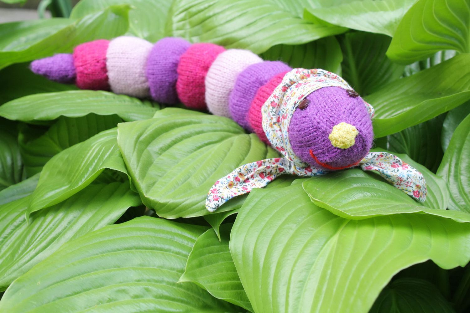 Soft toy Caterpillar photo 5