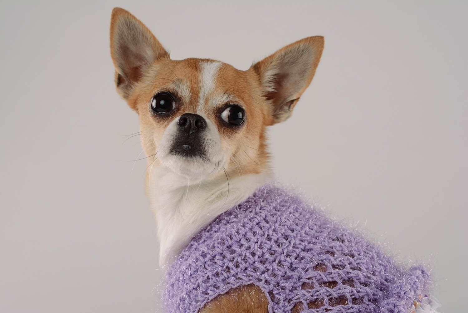 Vestido para cão Violetas e não-me-esqueças de tecido feito à mão  foto 2