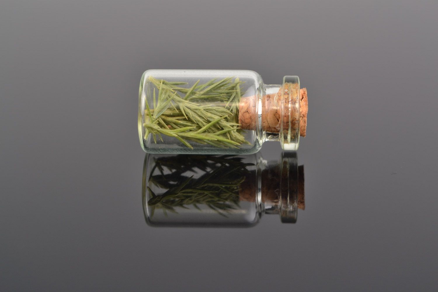 Unusual handmade pendant in the shape of glass jar with juniper inside photo 1