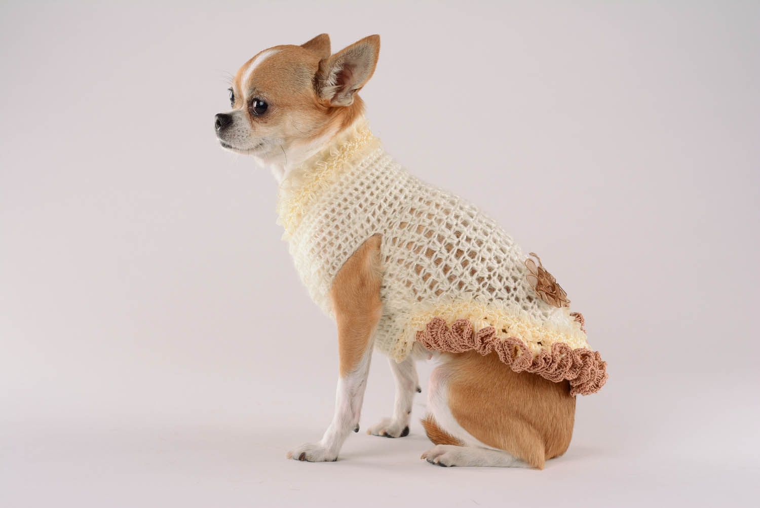 Hand knitted dress for a dog Waffles and lace photo 1