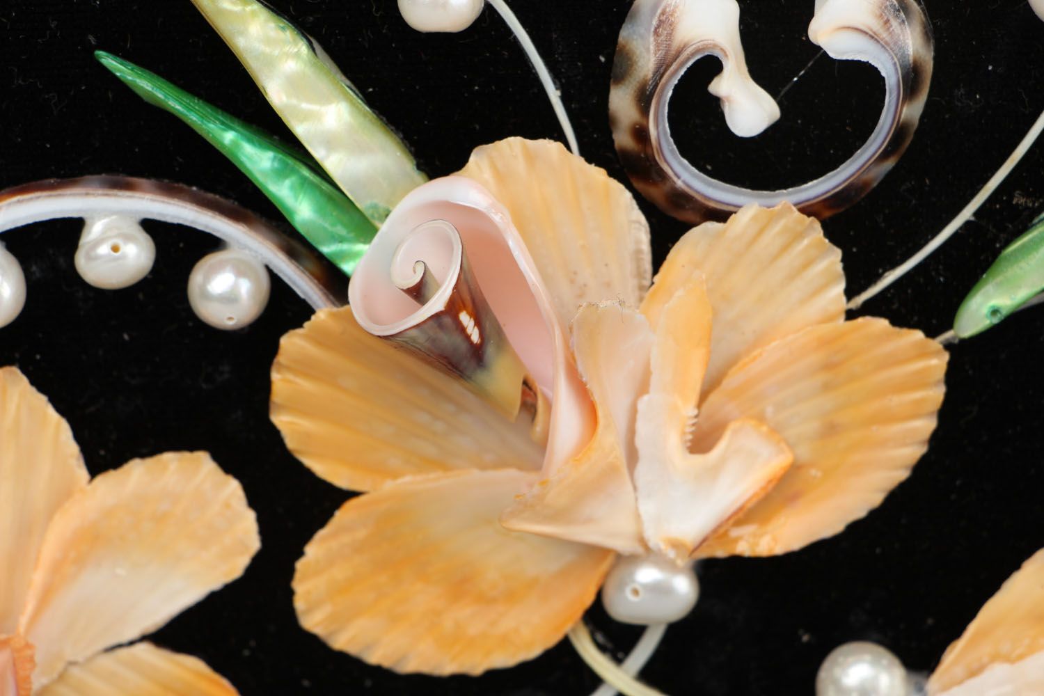Picture made of shells and fish bones photo 3
