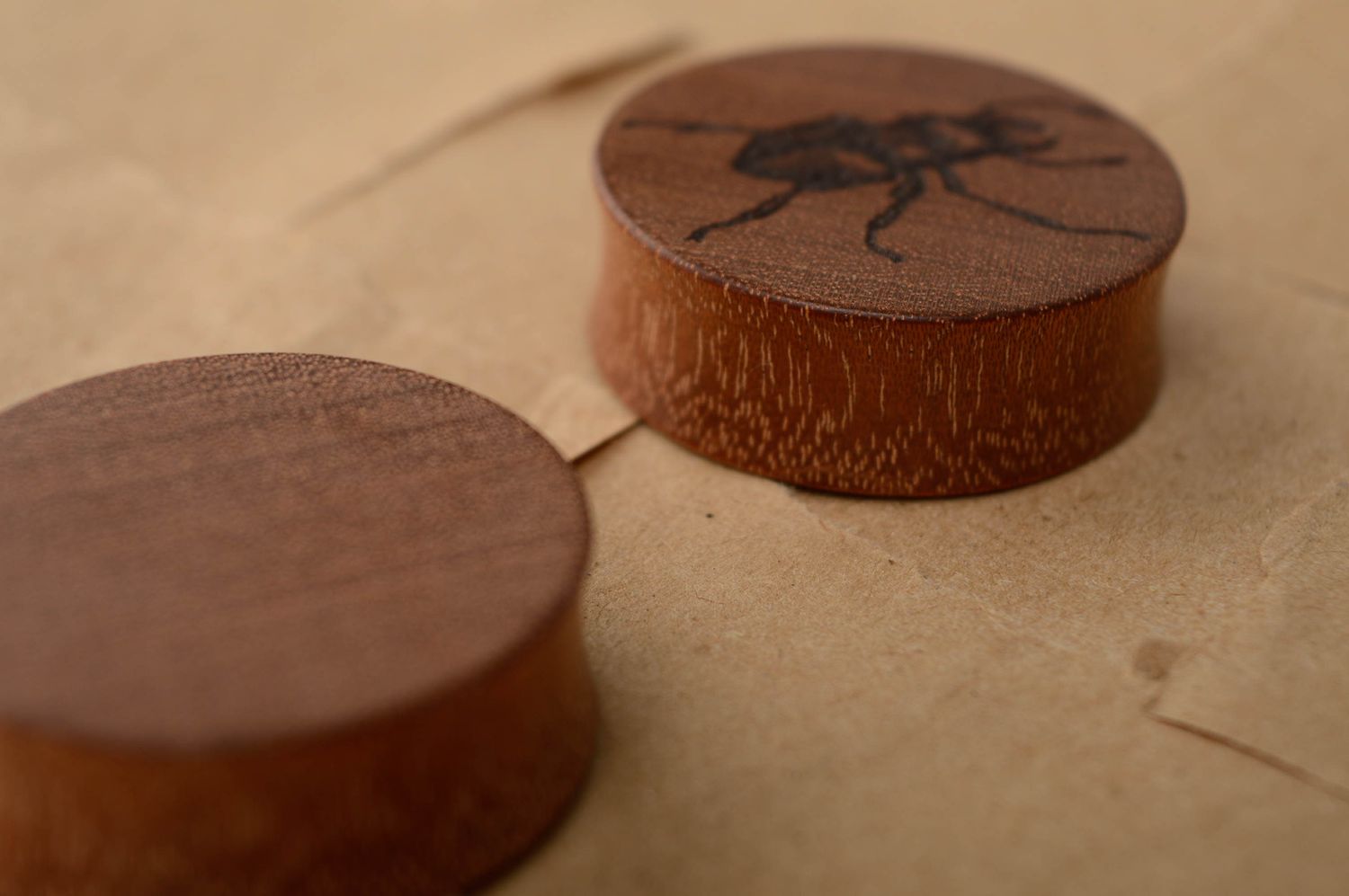 Beautiful wooden ear plugs with engraving Beetles photo 5