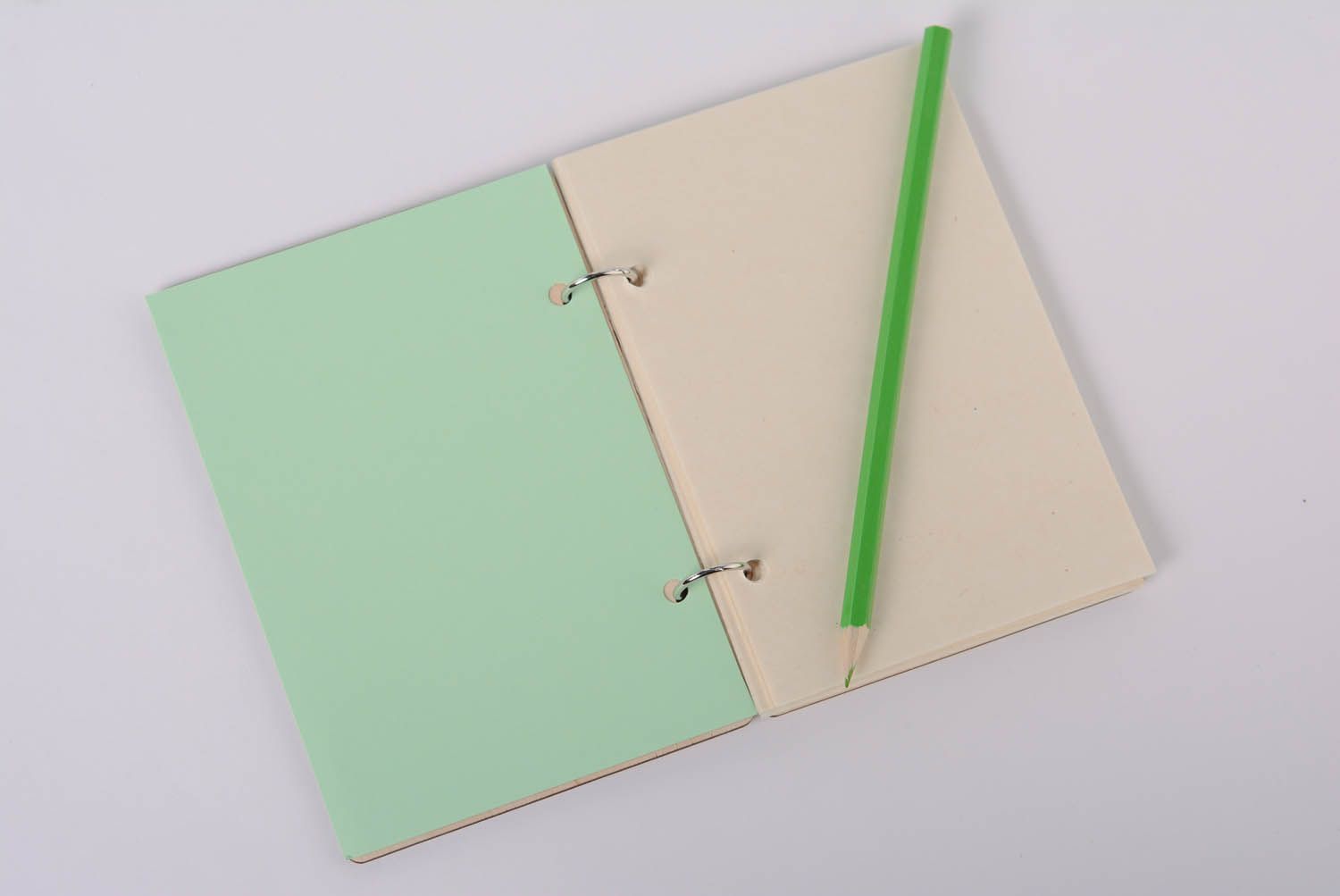 Blank notepad for creativity Hummingbird photo 3