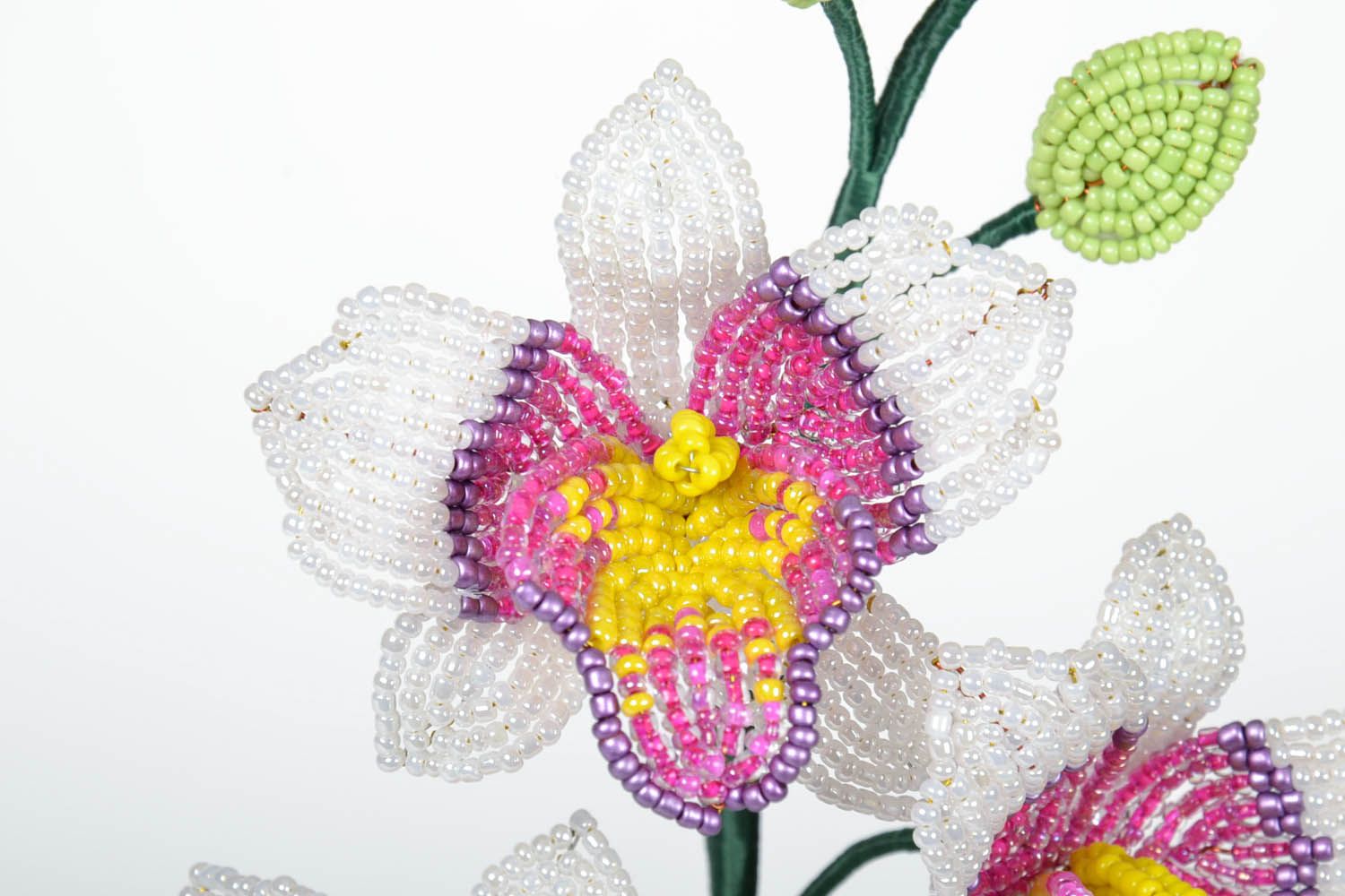 Beaded orchid photo 4